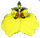 Orchid Stock Photography Searchable Online