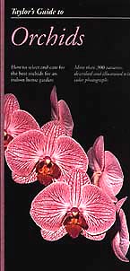 Orchid Stock Photos & book by judywhite | Taylor's Guide to Orchids