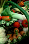 Vegetable Harvests Images Stock Bounty