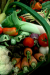 Vegetable Harvests Images Stock Bounty