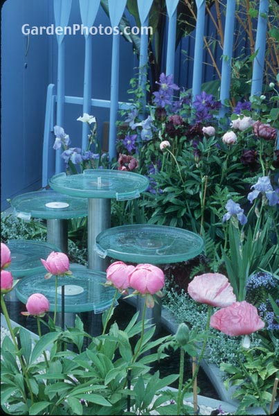 gardenphotoslo22979