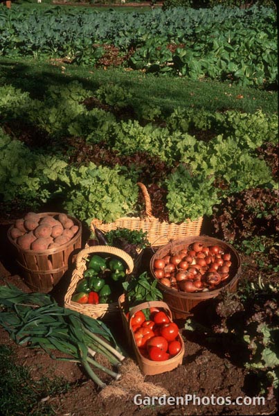gardenphotoslo3073