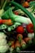 gardenphotoslo16745