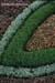 gardenphotoslo1636