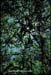 gardenphotoslo1681
