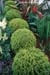 gardenphotoslo23116