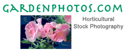 Garden Stock Photos