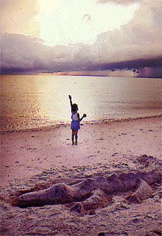 Halleluiah sunrise, from little girl, sand alligator and sea