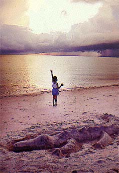 Halleluiah sunrise, from little girl, sand alligator and sea