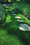 Flagstone Steps in Lawn