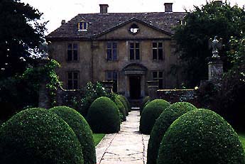 Boxwood (Buxus) hedges at Tintinhull House gardens, in Somerset, England,