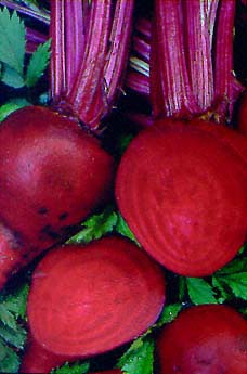 Detroit Dark Red Beets