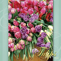 Tulips Bulbs Stock Images Calendar Cover by judywhite Flowers