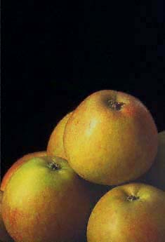 Apple Cox’s Orange Pippin