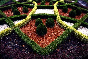 Maze garden of box and barberry, Brooklyn Botanic Garden, New York City