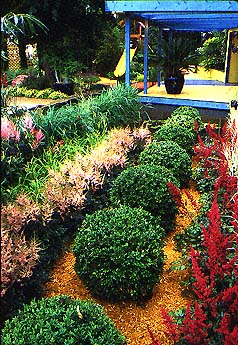 Boxwood and astilbe garden, Hampton Court Palace Flower Show