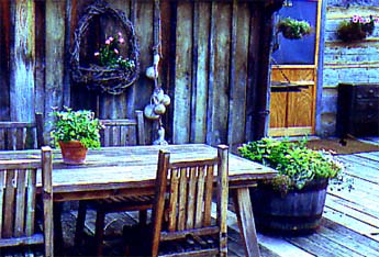 Patio container herbs on the deck